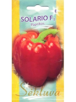 Papryka roczna 'Solario' H, 100 nasion