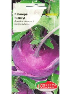 Kalarepa 'Blankyt' 1 g