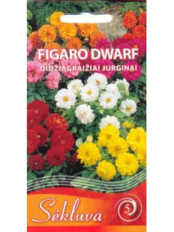 SE Jurginai darželiniai 'Figaro Dwarf Mix' 0,5 g