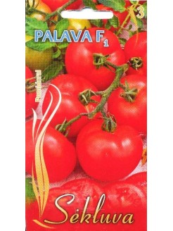 Pomidor zwyczajny 'Palava' H,  15 nasion