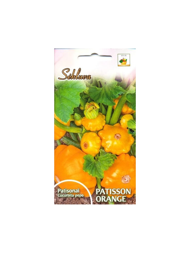 Patison 'Orange' 1 g