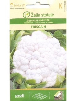 Kalafior 'Frisca' H, 15 nasion