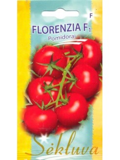 Pomidor zwyczajny 'Florenzia' H,  10 nasion