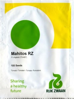 Pomidor zwyczajny 'Mahitos' H, 100 nasion