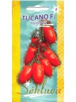 Pomidor zwyczajny 'Tucano' H, 10 nasion