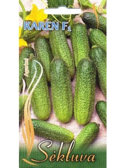 Ogórek siewny 'Karen' H, 1 g
