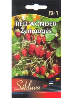 Poziomka pospolita 'Red Wonder' 0,1 g