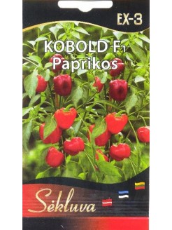 Papryka roczna 'Kobold' H, 6 nasion