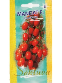 Pomidor zwyczajny  'Mandat' H, 8 nasion