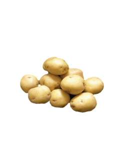 Sėklinės bulvės 'Vineta' 5 kg