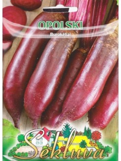 Burak ćwikłowy 'Opolski' 30 g