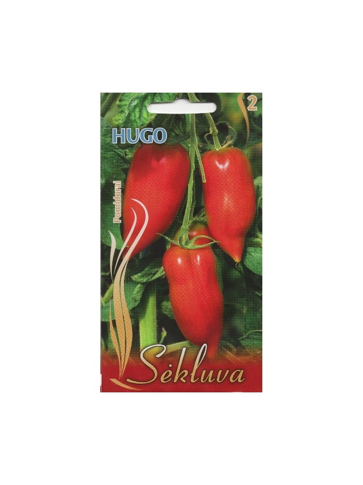 Pomidor zwyczajny 'Hugo' 25 nasion