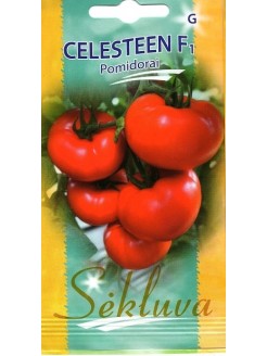 Pomidor zwyczajny 'Celesteen' H, 10 nasion