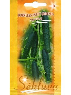 Ogórek siewny 'Burpless Tasty Green' H, 10 nasion