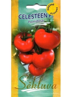 Pomidor zwyczajny 'Celesteen' H, 100 nasion