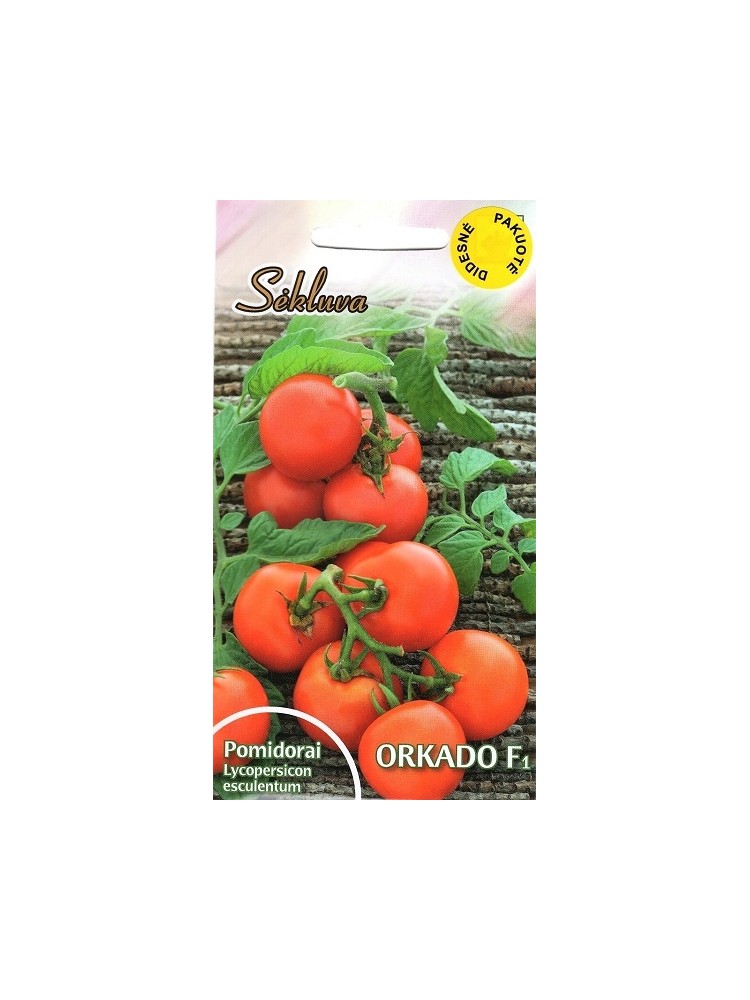 Pomidor zwyczajny 'Orkado' H,  2 g