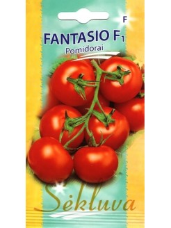 Pomidorai 'Fantasio' H, 10 sėklų