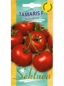 Pomidor zwyczajny 'Tamaris' H, 100 nasion