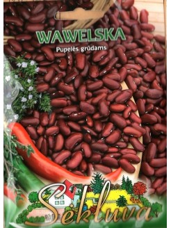 Fasola zwykła 'Wawelska' 40 g