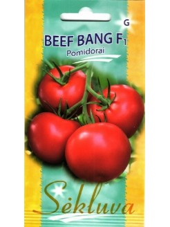 Pomidor 'Beef Bang' H