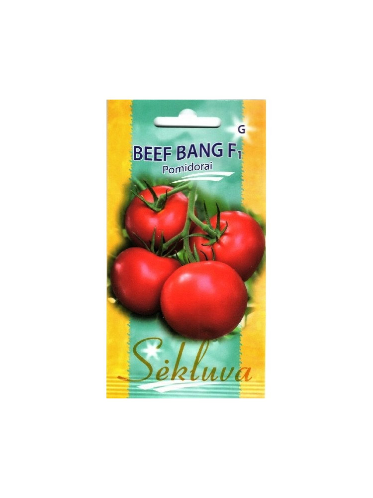 Pomidor 'Beef Bang' H