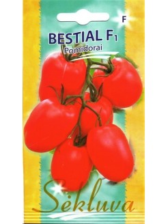 Pomidor 'Bestial' H, 10 nasion
