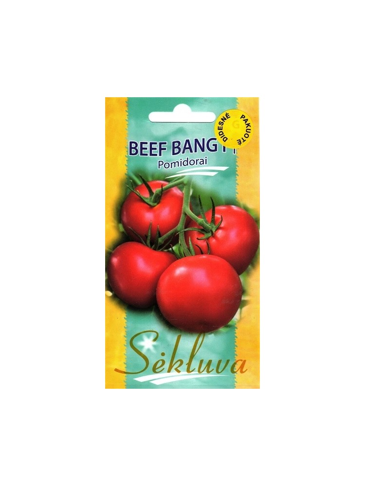 Pomidor 'Beef Bang' H, 30 nasion Pomidor 'Beef Bang' H, 30 nasion