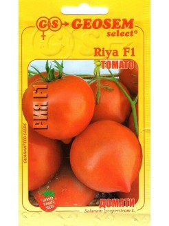 Pomidor zwyczajny 'Riya' F1, 250 nasion