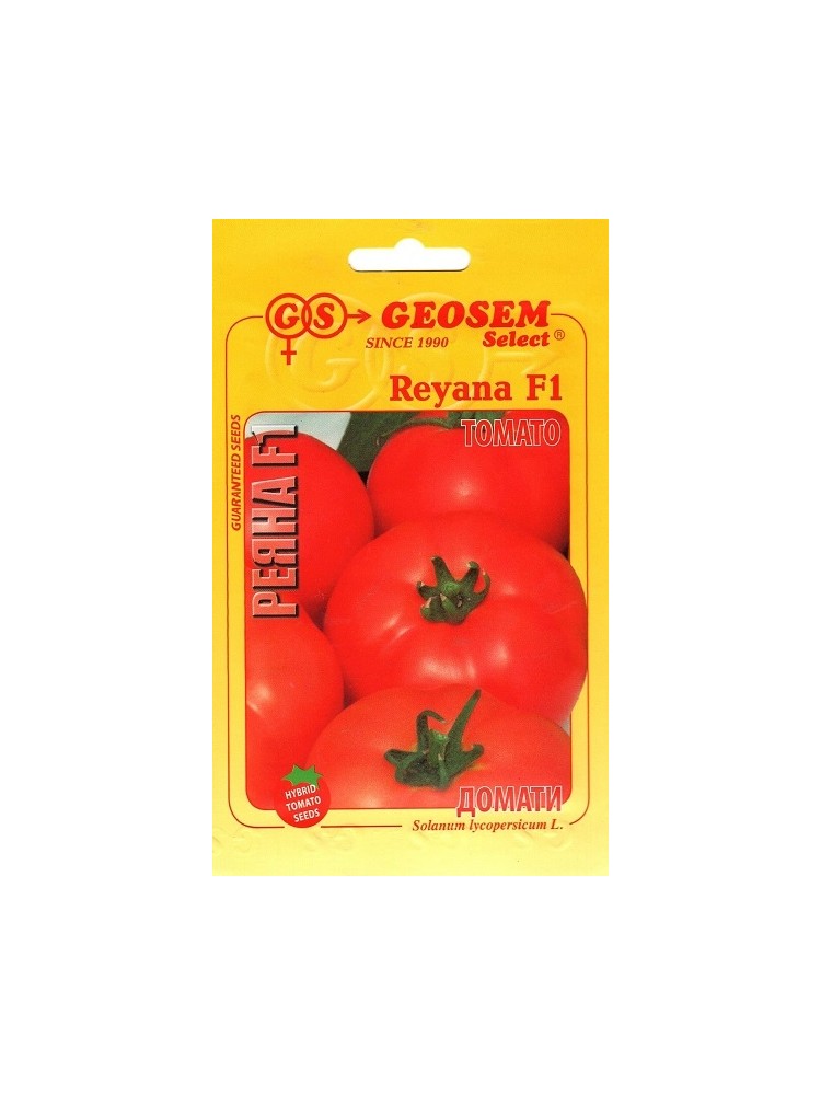 Pomidor zwyczajny 'Reyana' F1, 250 nasion