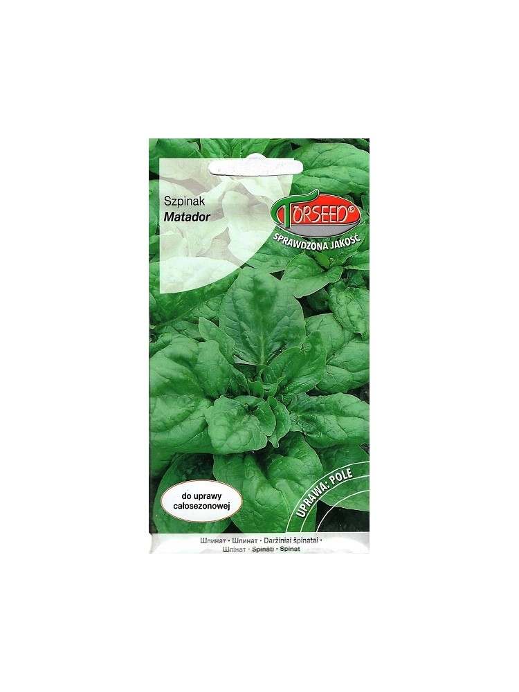 Szpinak warzywny 'Matador' 10 g Szpinak warzywny 'Matador' 10 g