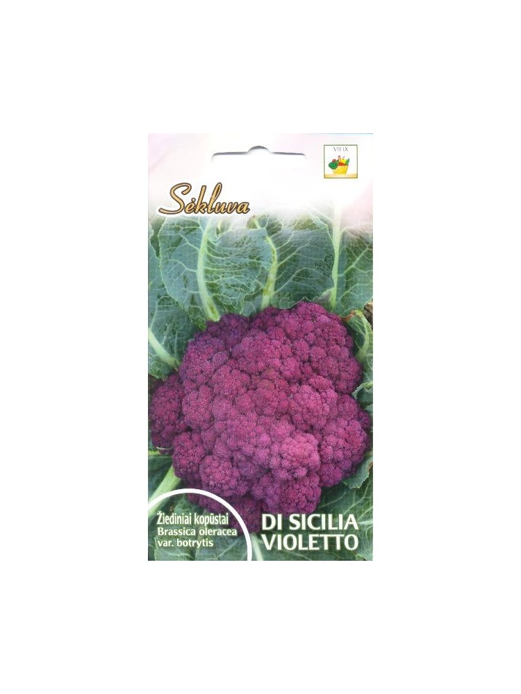 Kalafior 'Di Sicilia Violetto' 1 g