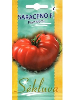 Pomidor zwyczajny 'Saraceno' H, 100 nasion