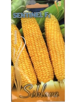 Kukurydza zwyczajna 'Sentinel' H, 15 nasion