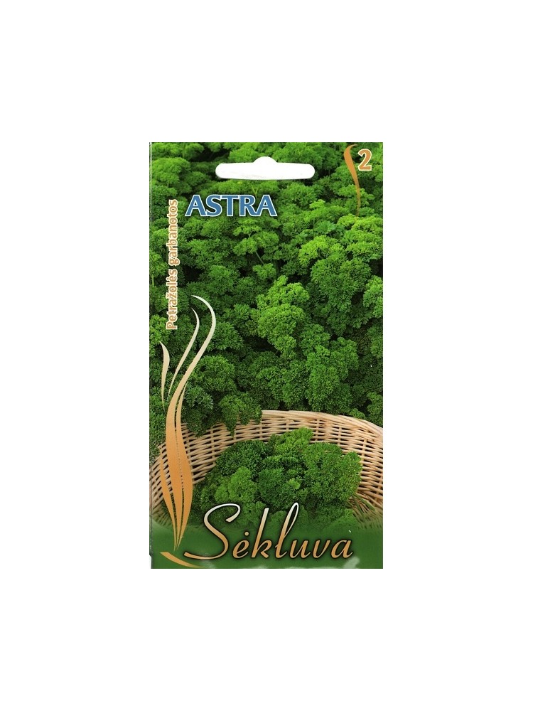 Pietruszka zwyczajna 'Astra' 3 g Pietruszka zwyczajna 'Astra' 3 g