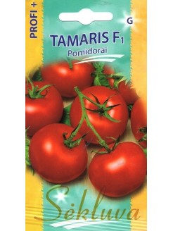 Pomidor zwyczajnyi 'Tamaris' H, 20 nasion
