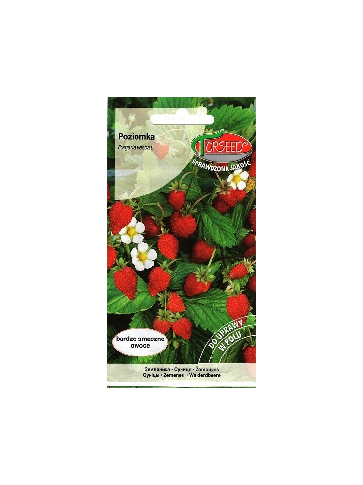 Poziomka pospolita 'Baron von Solemacher' 0,2 g Poziomka pospolita 'Baron von Solemacher' 0,2 g