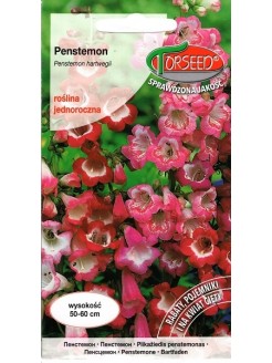 Penstemon Hartwega 'Seansation' 0,2 g