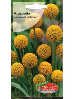 NS Kraspedia kulista 0.1 g