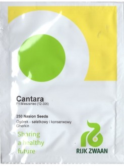 Ogórek siewny 'Cantara' H, 250 nasion