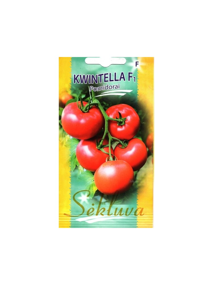 Pomidor 'Kwintella' H