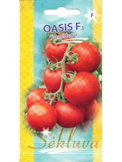 Pomidor zwyczajny 'Oasis' H, 50 nasion