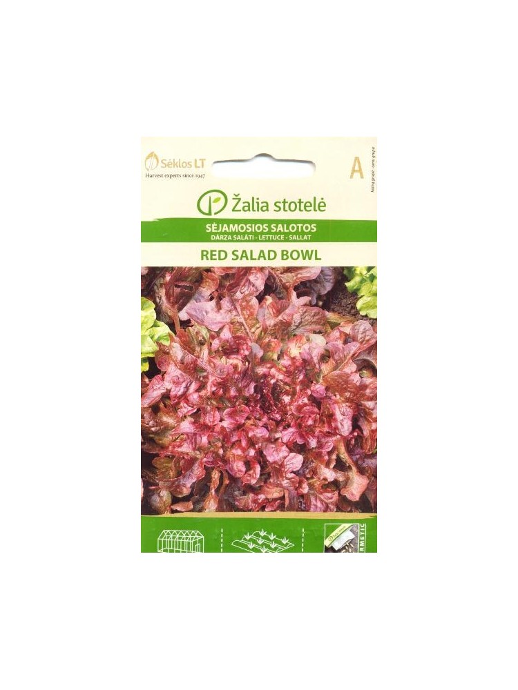 Sałata siewna 'Red Salad Bowl' 1 g Sałata siewna 'Red Salad Bowl' 1 g