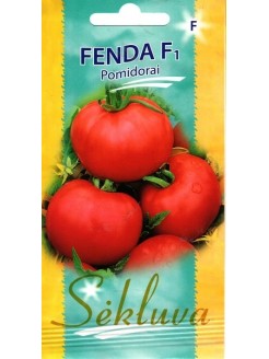 Pomidor zwyczajny 'Fenda' H, 100 nasion