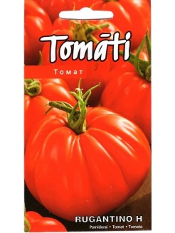 Pomidor 'Rugantino' H, 5 nasion