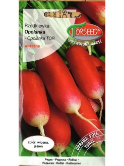 Rzodkiewka 'Opolanka' 10 g