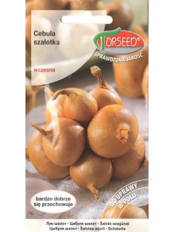 Cebula szalotka 'Toto' 1 g