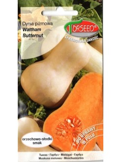 Dynia piżmowa 'Waltham Butternut' 3 g