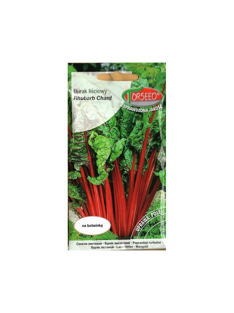 Burak liściowy boćwina 'Rhubarb Chard' 10 g