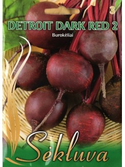 Burak ćwikłowy 'Detroit Dark Red 2' 15 g