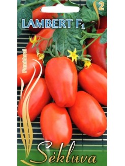 Pomidor 'Lambert' H,  15 nasion